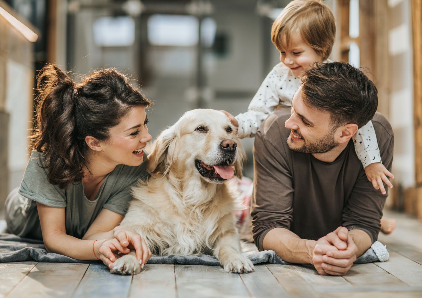 A happy family at home. Mom, dad, dog and toddler.